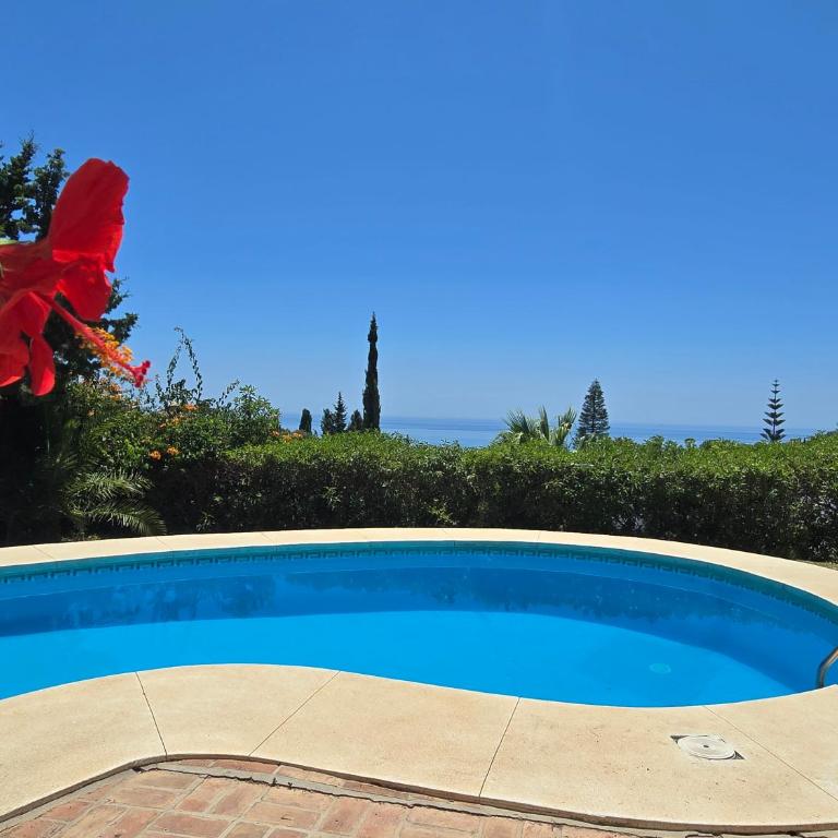 Sea view villa with pool, near beach in Calahonda, Marbella area - Villa de 3 dormitorios - 20