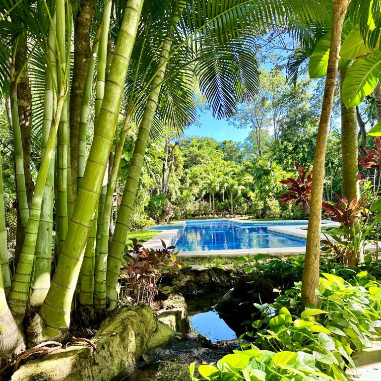 GLASS JUNGLE VILLA with amazing green views -10 min DT - Casa de 3 dormitorios - 65