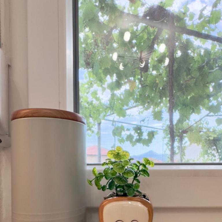 Apartman Minja 2 Trebinje - Apartman sa 1 Spavaćom Sobom - 2