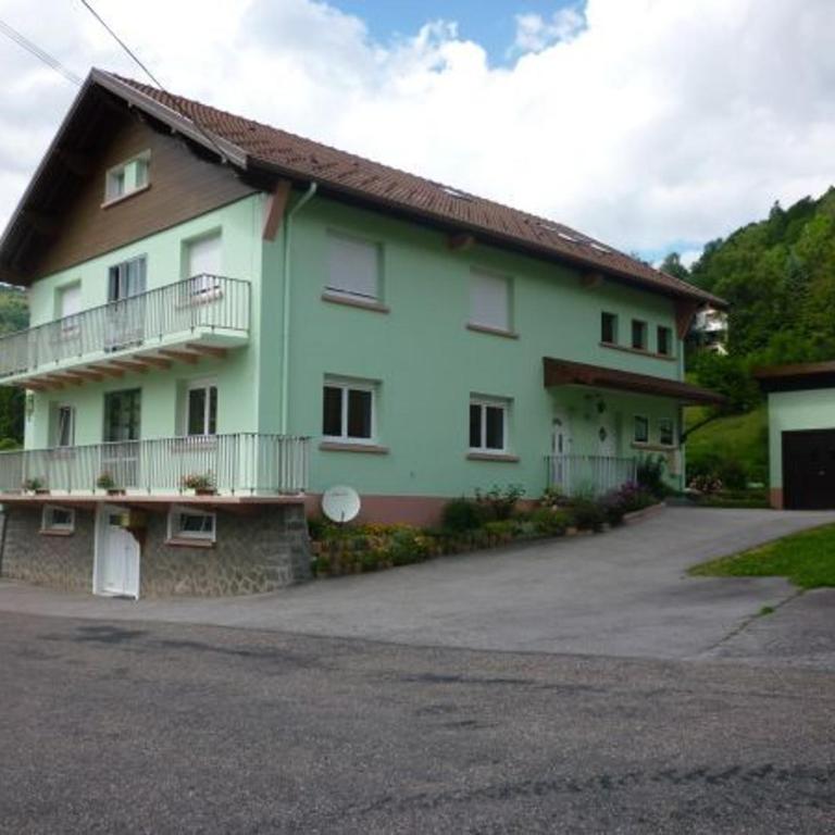 Gîte chaleureux à La Bresse avec terrasse, barbecue et proche des pistes de ski - FR-1-589-189 - Ferienhaus (4 Erwachsene) - 16