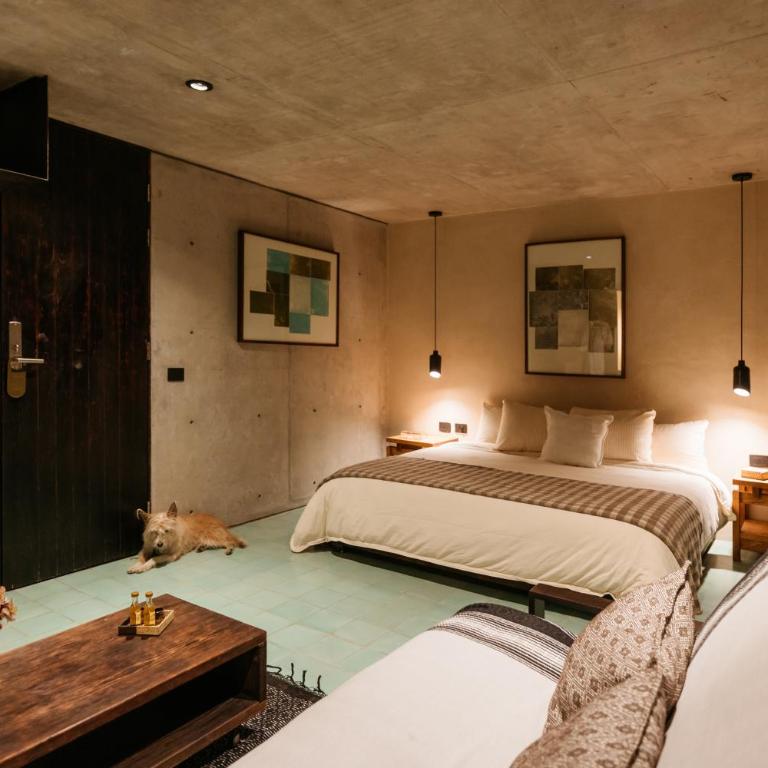 Becino - Junior Suite with Sofa Bed - 5