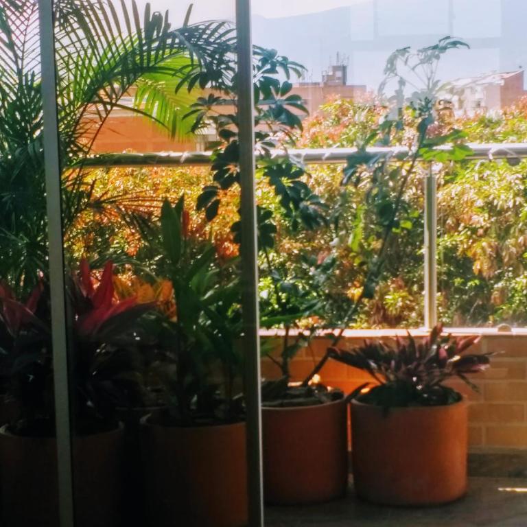 Comfort, Style, Equipment ! 2BR 2 bath Envigado - Two-Bedroom Apartment - 23