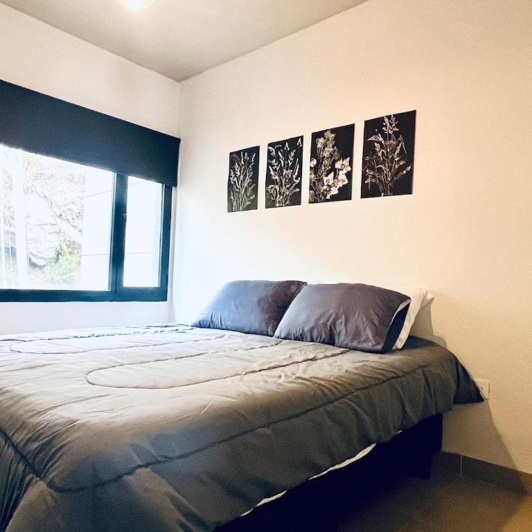 Altamar Norte del Sur - Apartamento Superior de 2 dormitorios - 16