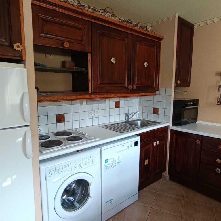 Appartement fonctionnel pour 5 personnes avec animaux acceptés, parking et balcon sud - FR-1-445-226 - Appartamento - 4