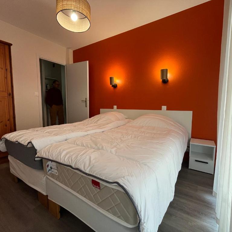 Spacieux appartement refait à neuf avec balcon et garage, proche centre-ville - Apartment mit 2 Schlafzimmern - 4