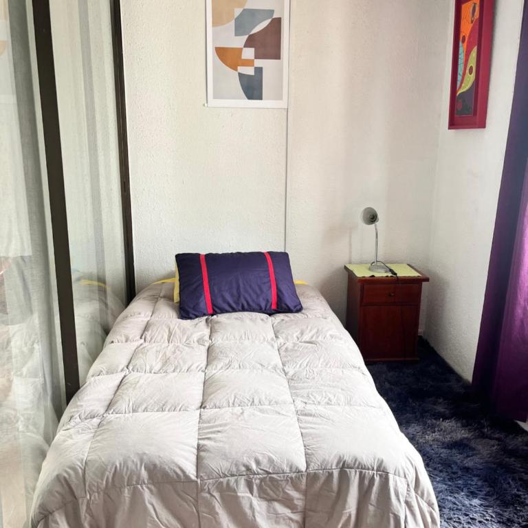 Hermoso y espacioso depto en Providencia 3D y2B - Three-Bedroom Apartment - 6