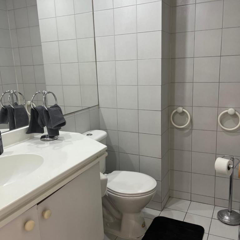 Hermoso y espacioso depto en Providencia 3D y2B - Three-Bedroom Apartment - 8
