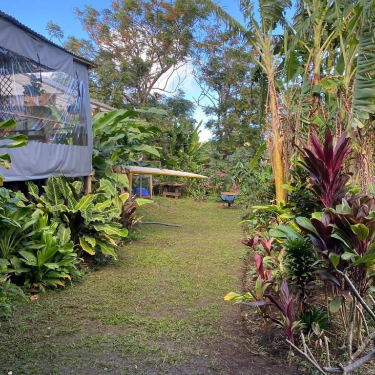 Cabañas Pari Takeo - One-Bedroom House - 5