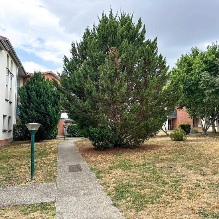 Appartement T2 Proche Airbus St Martin du touch, Colomiers avec Terrasse - Apartment mit 1 Schlafzimmer - 9