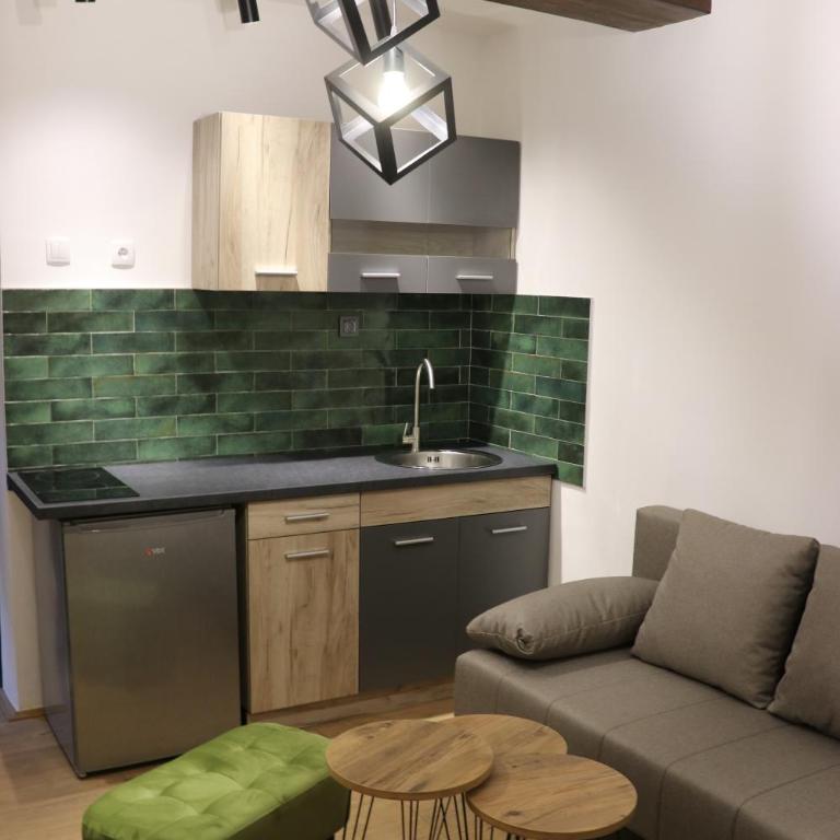 Central House Niš - One-Bedroom Apartment - 11