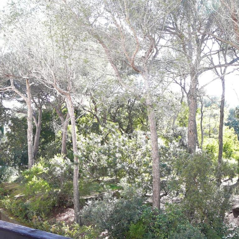 Nice Apt of 35m at 450m from the beach - Monolocale - 7
