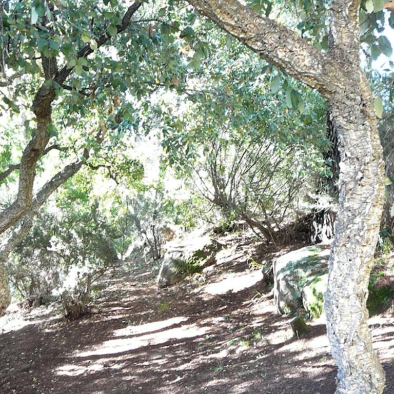 Nice Apt of 35m at 450m from the beach - Monolocale - 10