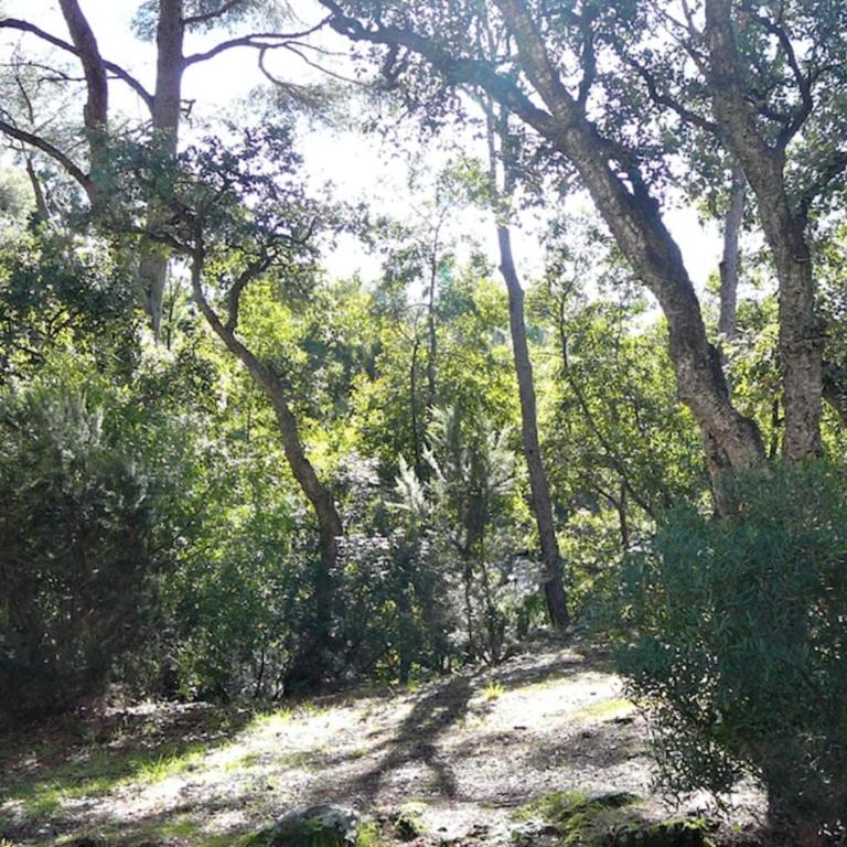 Nice Apt of 35m at 450m from the beach - Monolocale - 12