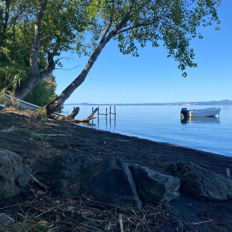 La Traversa Di Bolsena - Villa Superior - 58
