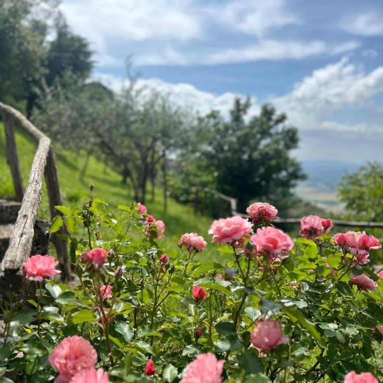 Agriturismo Casa Paradiso - Casa con 2 Camere da Letto - 9