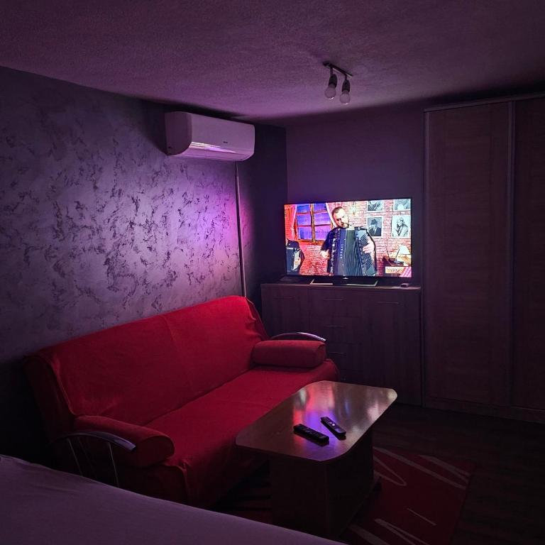 Apartment Savanovic - Standardni Apartman - 9