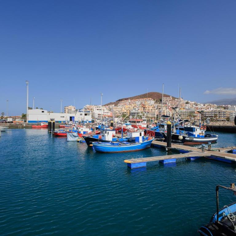 Apartment in Los Cristianos- Anita del Mar - Two-Bedroom Apartment - 15