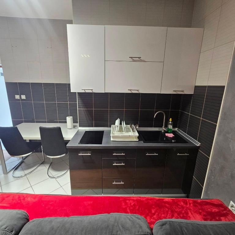 Apartment Savanovic - Studio Apartman - 18