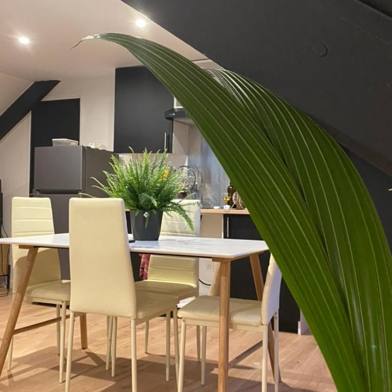 Appartement Atypique- Esprit Atelier Loft - parking privé - Wifi - vidéo - Appartement 1 Chambre - 3