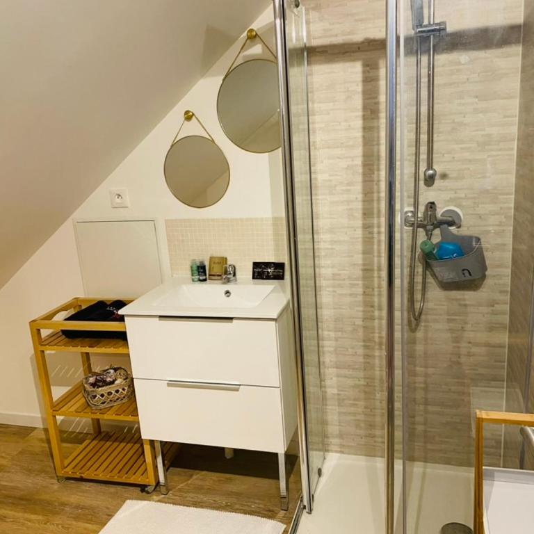 Appartement Atypique- Esprit Atelier Loft - parking privé - Wifi - vidéo - Appartement 1 Chambre - 17