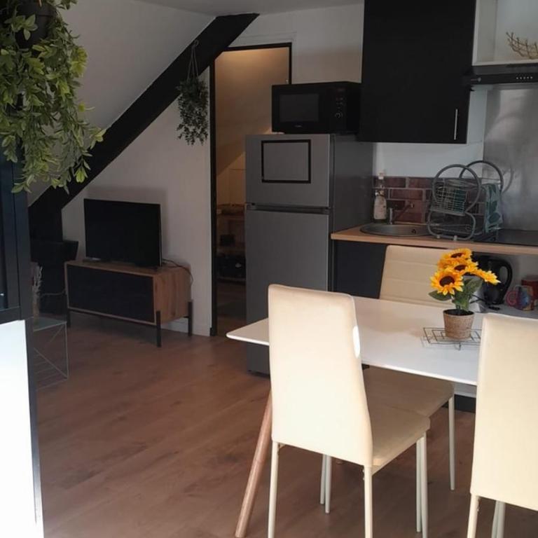 Appartement Atypique- Esprit Atelier Loft - parking privé - Wifi - vidéo - Appartement 1 Chambre - 18