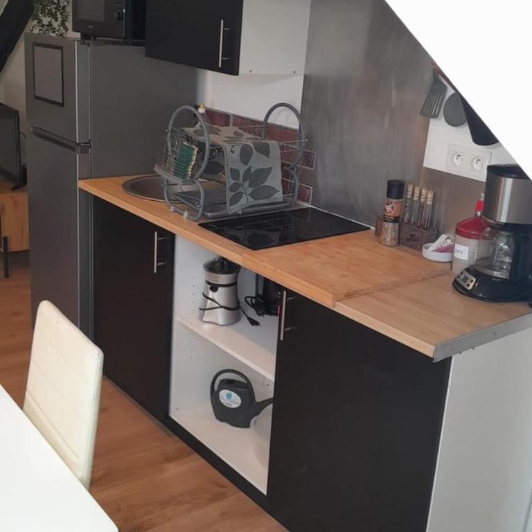 Appartement Atypique- Esprit Atelier Loft - parking privé - Wifi - vidéo - Appartement 1 Chambre - 20