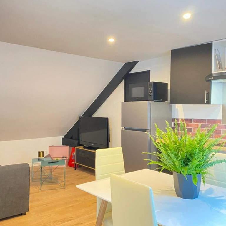 Appartement Atypique- Esprit Atelier Loft - parking privé - Wifi - vidéo - Appartement 1 Chambre - 26