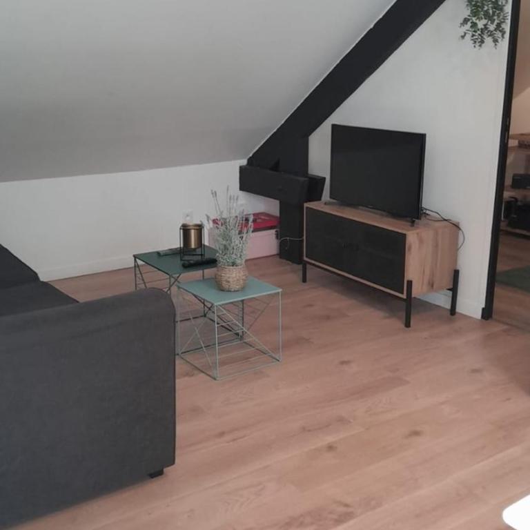 Appartement Atypique- Esprit Atelier Loft - parking privé - Wifi - vidéo - Appartement 1 Chambre - 31