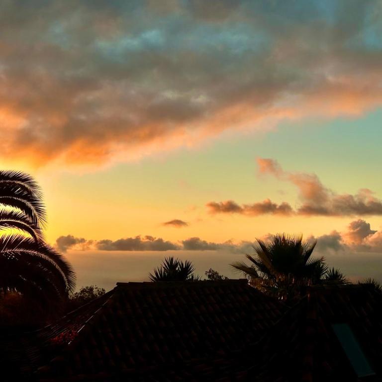 Finca Tenerife - Authentisches kanarisches Haus mit Traumblick, tropischem Garten und Sauna - One-Bedroom House - 16