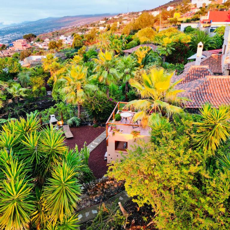 Finca Tenerife - Authentisches kanarisches Haus mit Traumblick, tropischem Garten und Sauna - One-Bedroom House - 19