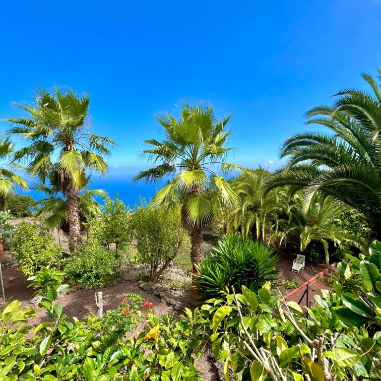 Finca Tenerife - Authentisches kanarisches Haus mit Traumblick, tropischem Garten und Sauna - One-Bedroom House - 4