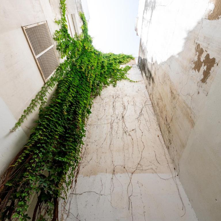 San Esteban City Center by Valcambre - Apartamento de 2 dormitorios - 14