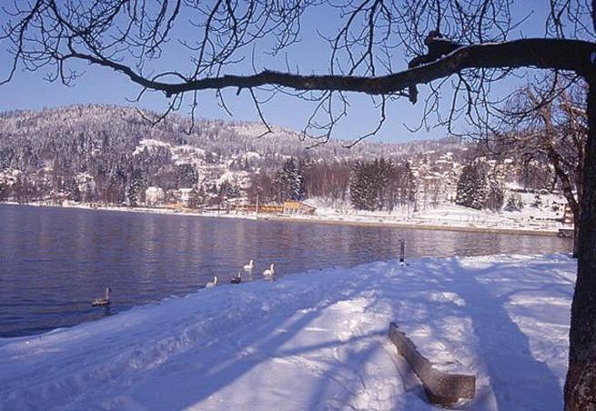Le Meix du Lac 3 étoiles - 200 m du lac - 50 m navette ski - Appartement - 16