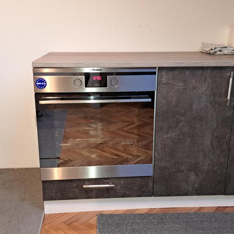 Stan na dan centar - Classic One-Bedroom Apartment with King Bed - 18