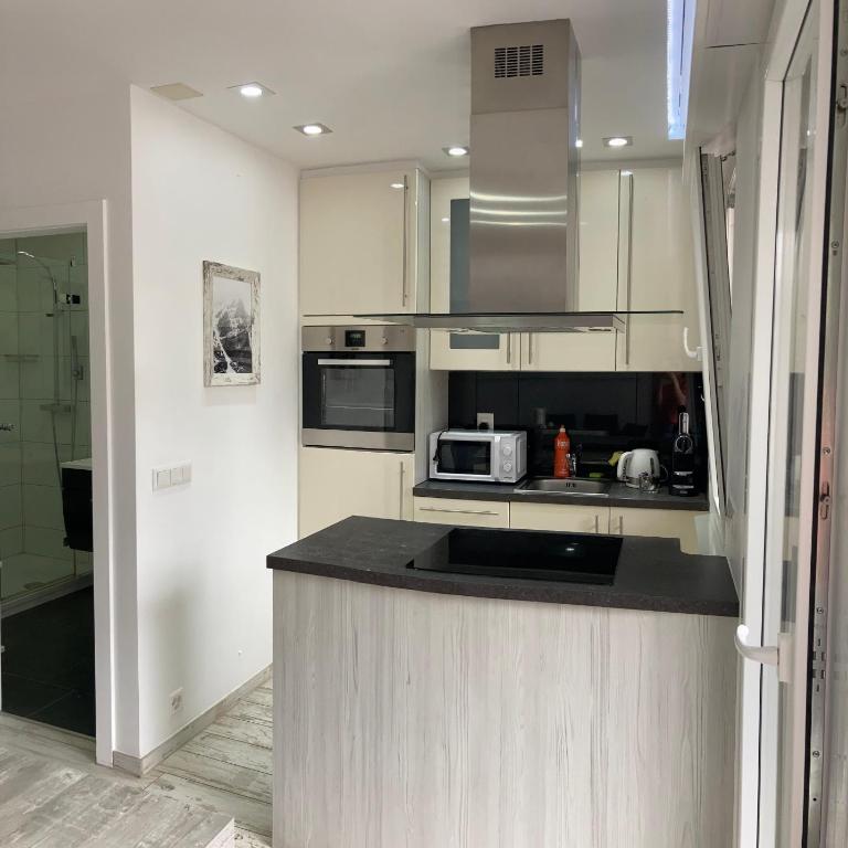 Renovated Studio | Dream Views • Balcony • Free Parking - Apartamento de 1 dormitorio - 12