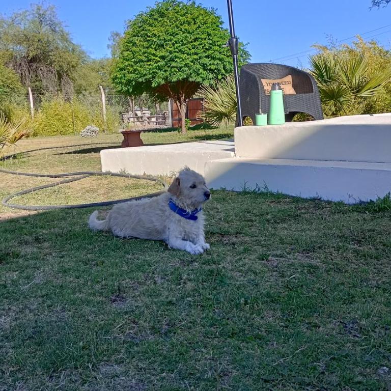 Edna Cabañas - Casa de 2 dormitorios - 6