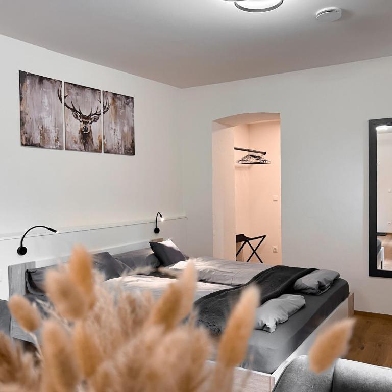 Studio Cervus with Guestpass - Apartment mit 1 Schlafzimmer - 4