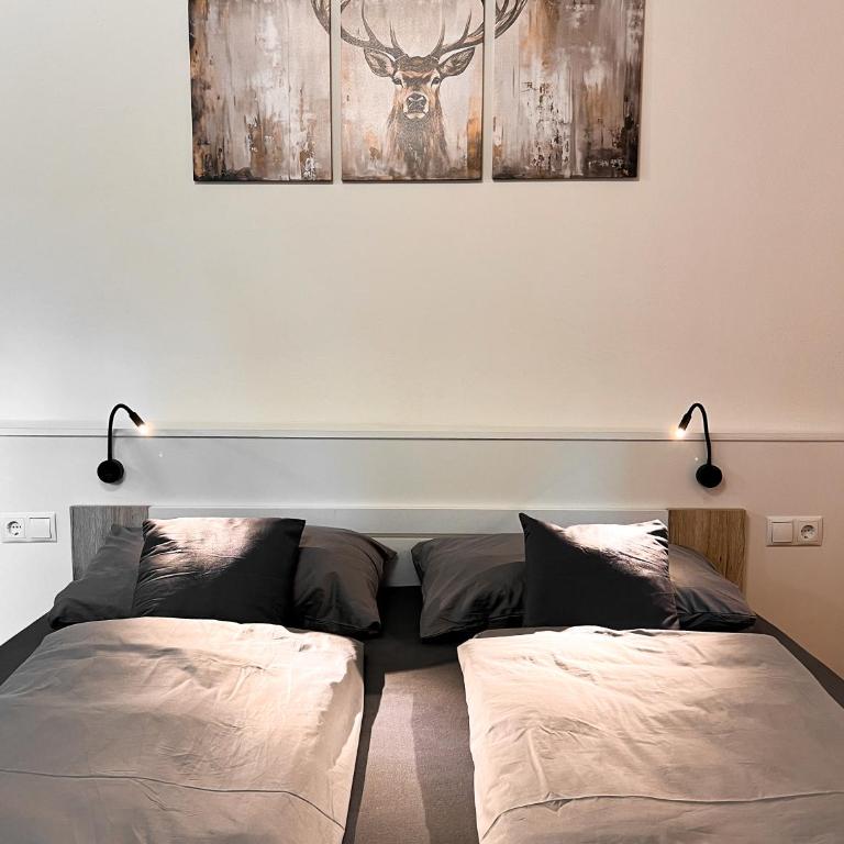 Studio Cervus with Guestpass - Apartment mit 1 Schlafzimmer - 17