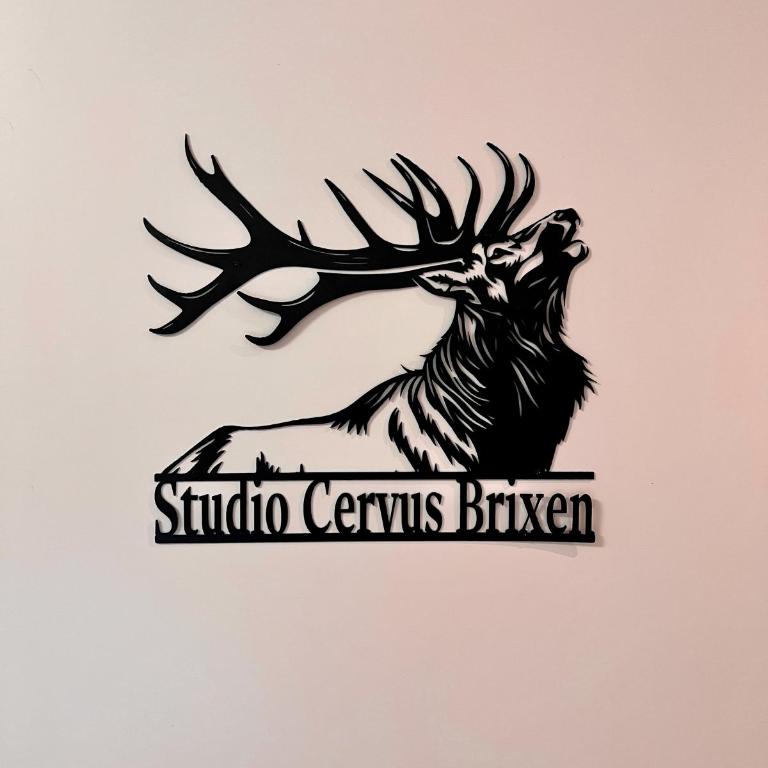 Studio Cervus with Guestpass - Apartment mit 1 Schlafzimmer - 19