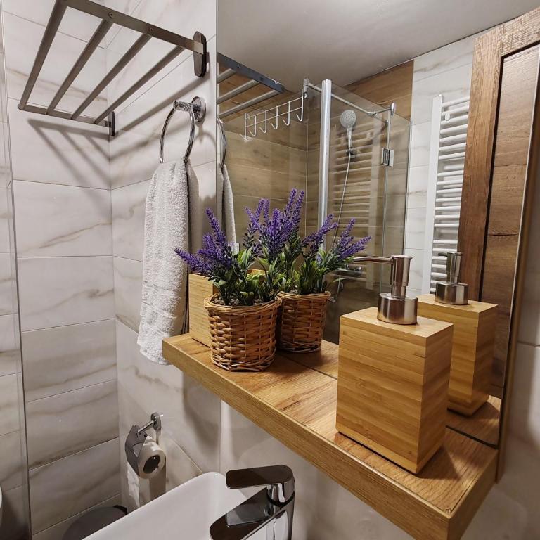 Apartman Borovi 14 - Apartman sa 1 Spavaćom Sobom - 24