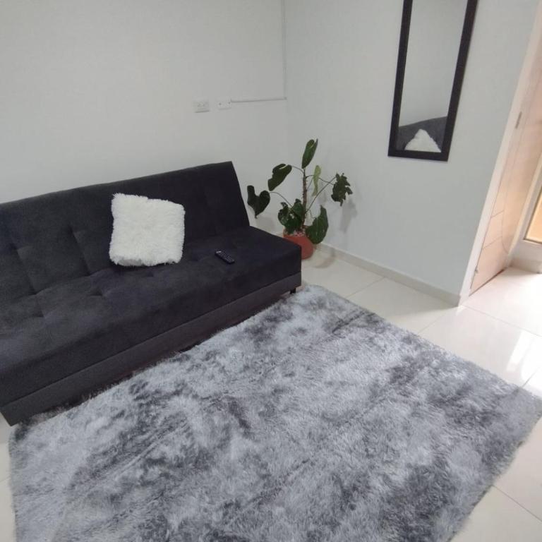 Apartamento amoblado y piscina fuera del alojamiento - Apartamento de 2 dormitorios - 14