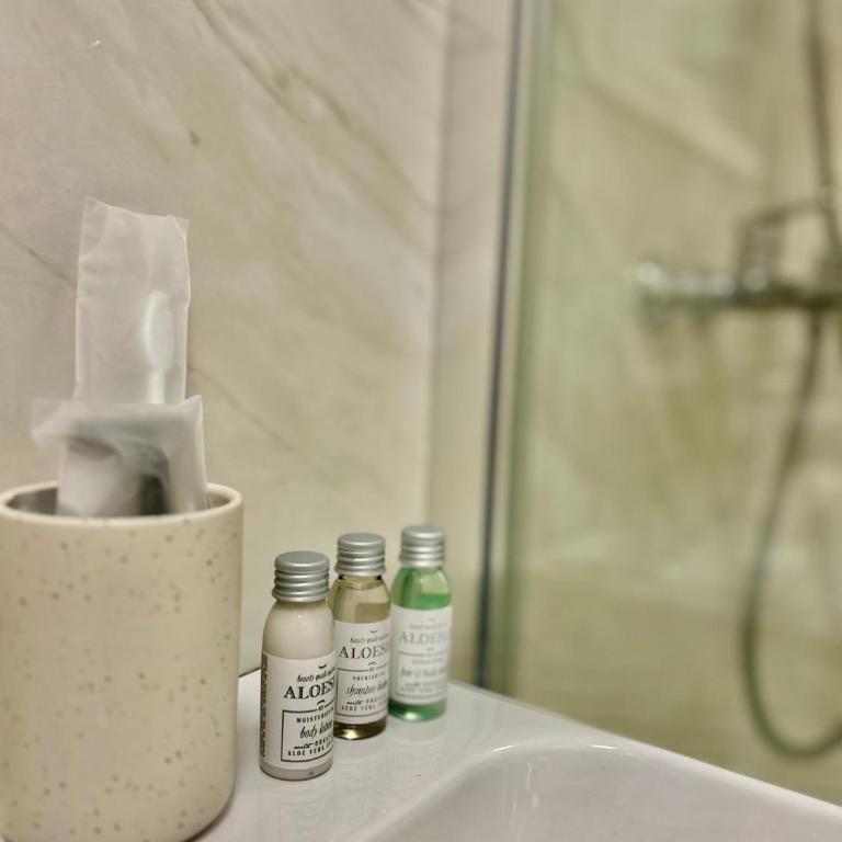 Apartman Nova Varos Banjaluka - Apartman sa 1 Spavaćom Sobom - 15