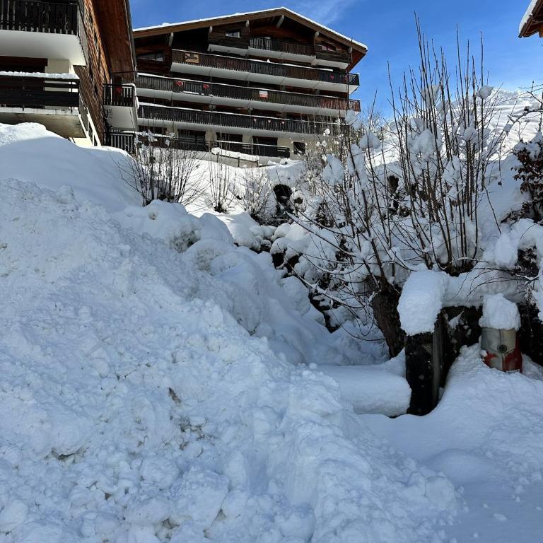 Lodge Montëva - Le Chinaillon - Au pied des pistes - Apartment mit 1 Schlafzimmer - 33