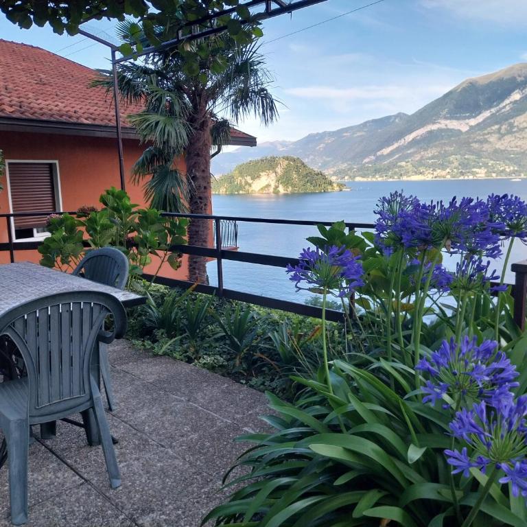 Bellavista garden and flowers - Appartamento con Vista Lago - 17
