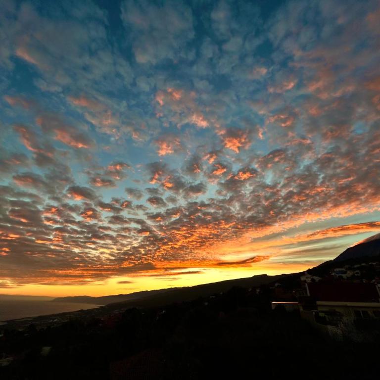 Finca Tenerife - Traumblick, tropischer Garten, viel Platz & Ruhe - One-Bedroom House - 6