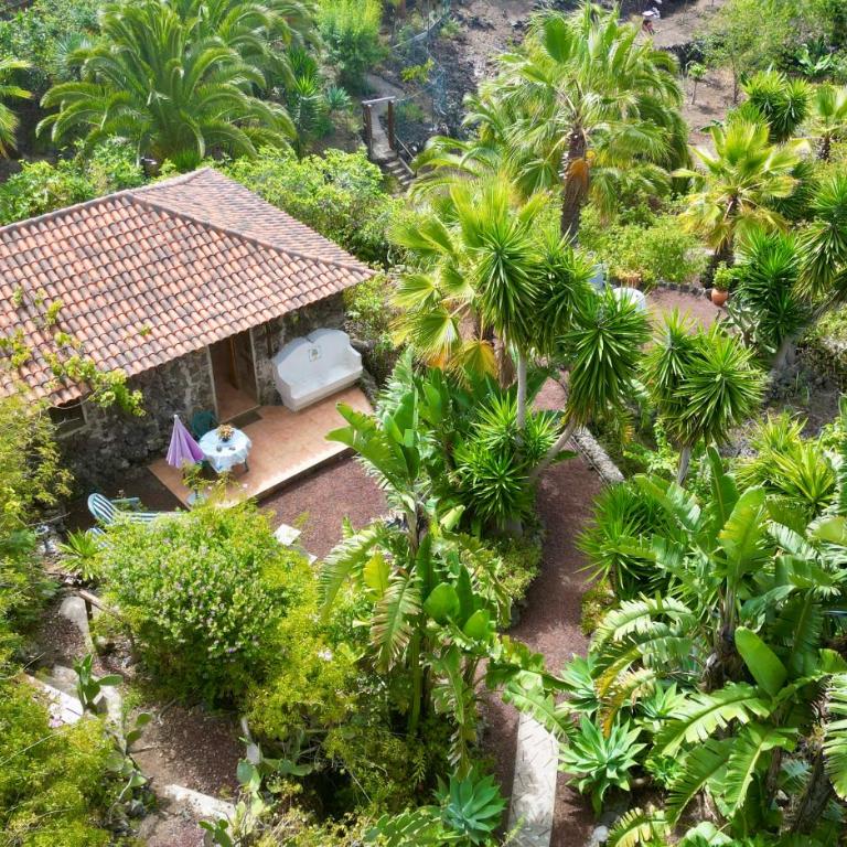 Finca Tenerife - Traumblick, tropischer Garten, viel Platz & Ruhe - One-Bedroom House - 16