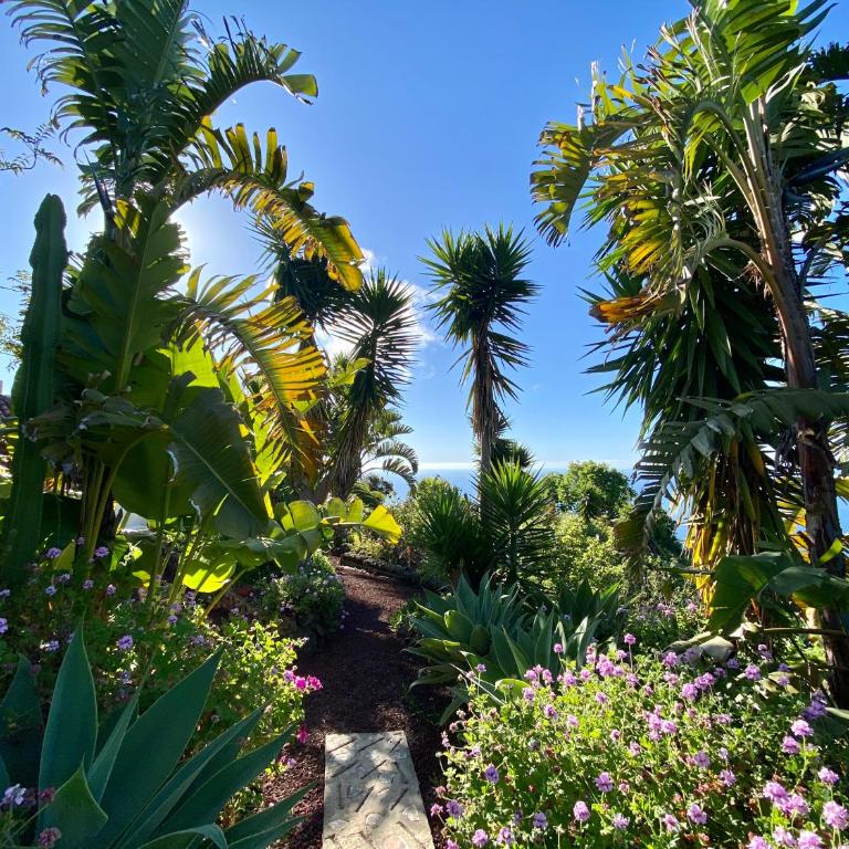 Finca Tenerife - Traumblick, tropischer Garten, viel Platz & Ruhe - One-Bedroom House - 3