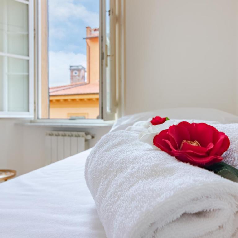 cvr 9- Luminoso 3 Camere Borgo Stretto Vista in Centro - Appartamento con 3 Camere da Letto - 2