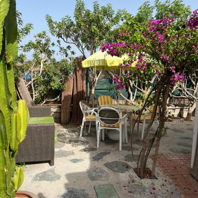 Las Vegas Golf - Apartamento de 1 dormitorio - 26