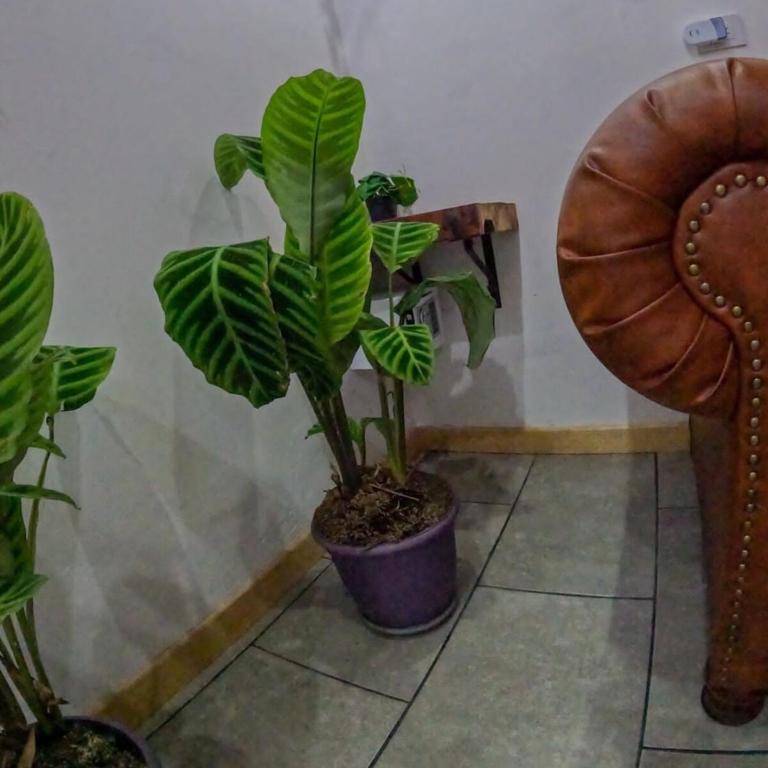 Fabulous cozy, wifi, AC, laundry loft in laureles - Apartamento de 1 dormitorio - 5